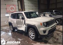 جيب رينيجيد